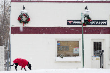 Dog with red coat walking past auto body shop in snow in Herndon Virginia